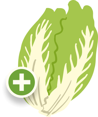 白菜