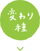 変わり種