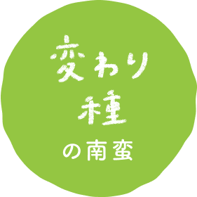 変わり種の南蛮