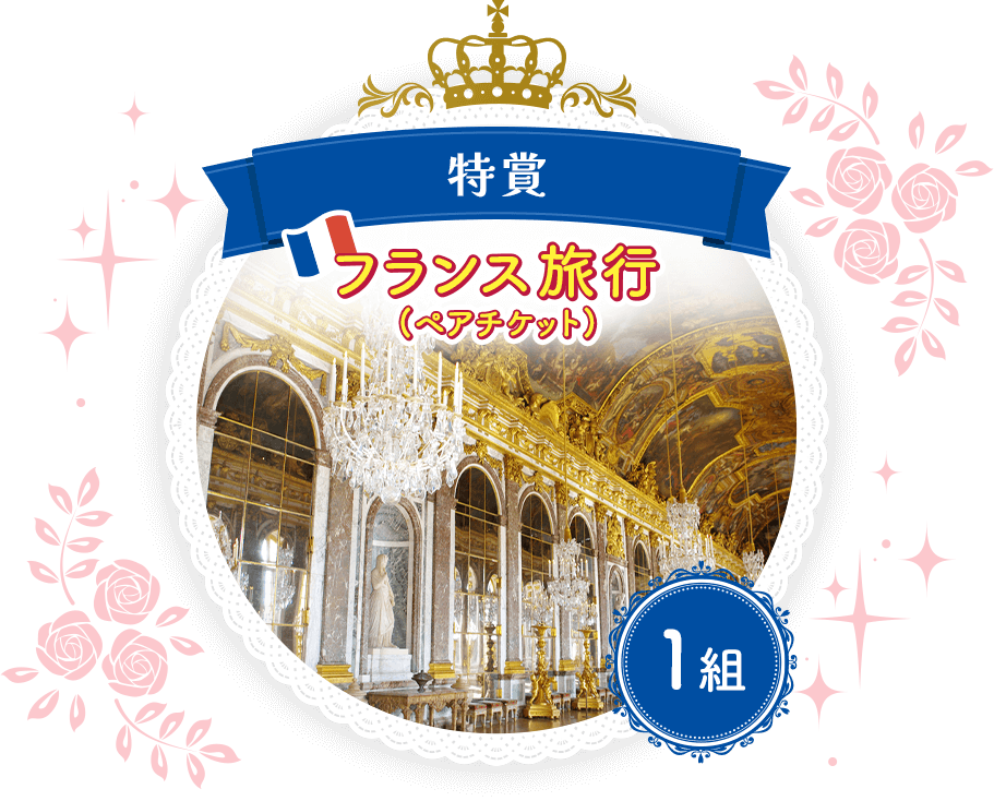 フランス旅行ペアチケット